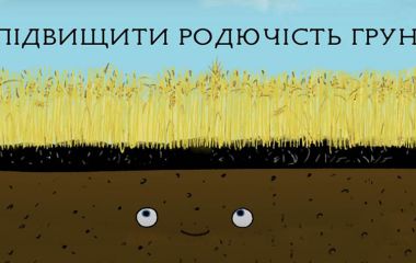 Как повысить плодородие почвы? 