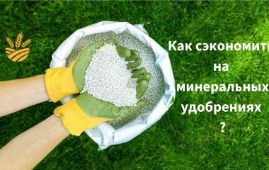 Як заощадити на мінеральних добривах?