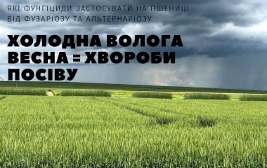 Холодна волога весна = хвороби посіву