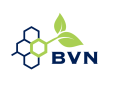 BVN