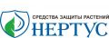 Нертус