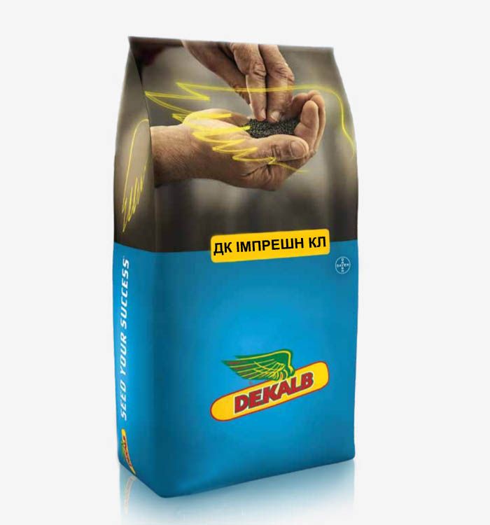 Насіння ріпаку ДК Імпрешн КЛ
