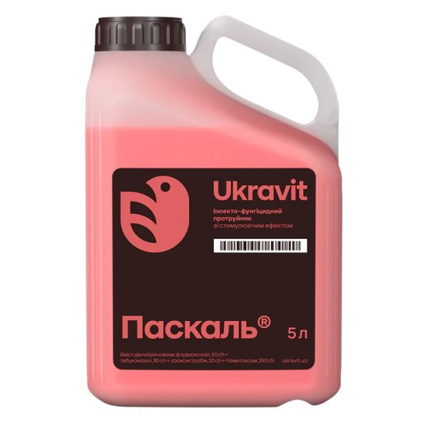 Протруйник Паскаль