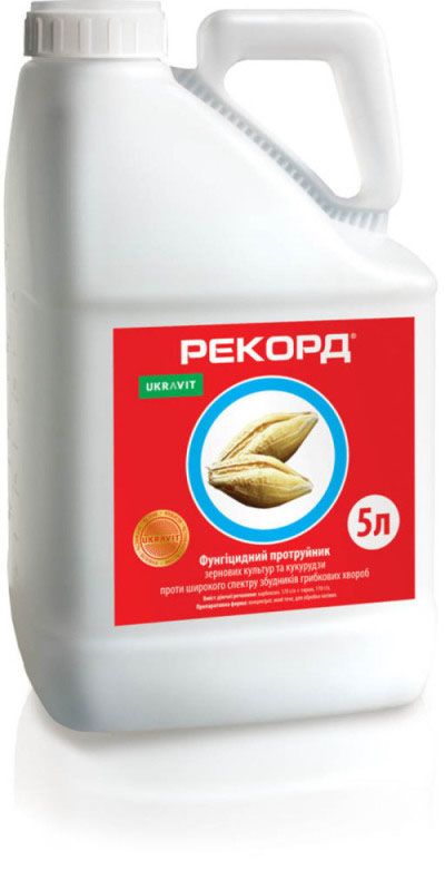 Протруйник Рекорд