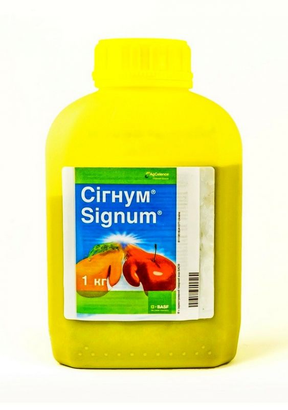 Фунгіцид Сігнум ВГ