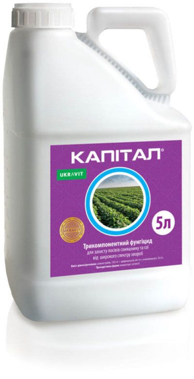 Фунгицид Капитал
